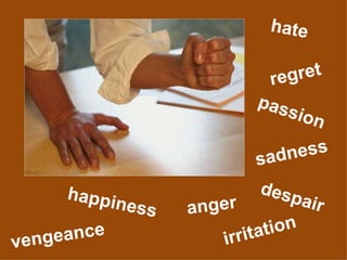 irritation anger sadness hate despair regret passion vengeance happiness 