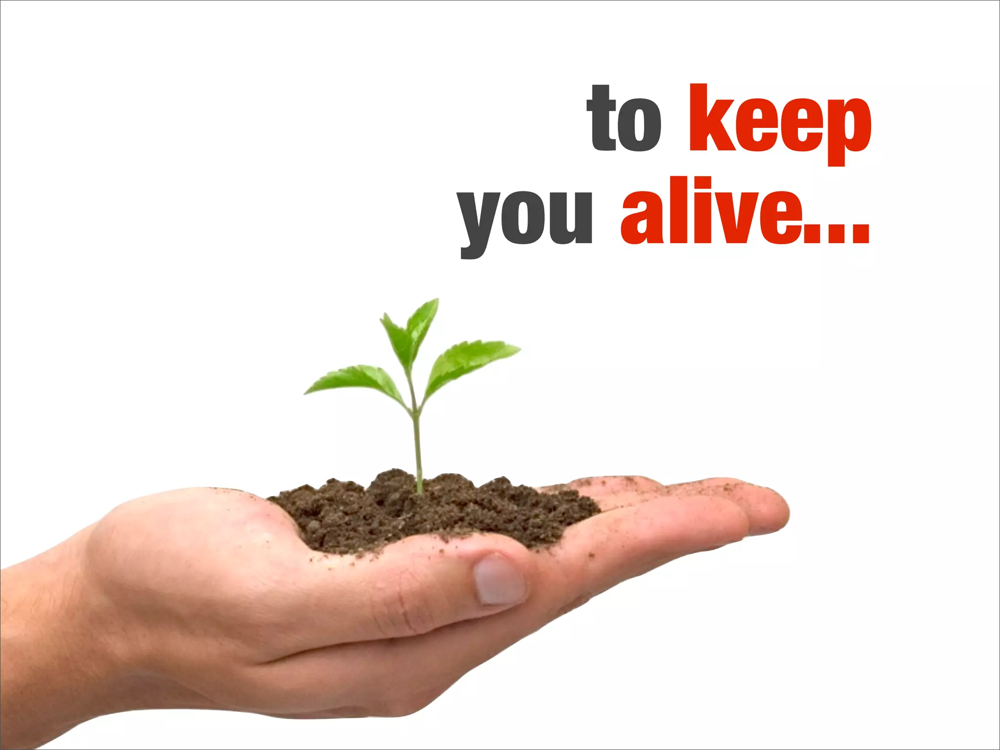 the GOOD
news is..

    the KI NEYS don’t usually
     fail all at once but slowly
       over a period of years
 