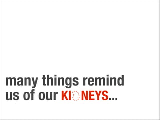 many things remind
us of our KI NEYS...
 
