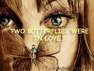 TWO BUTTERFLIES WERE IN LOVE… 