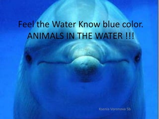 Feel the Water Know blue color.
ANIMALS IN THE WATER !!!

Ksenia Voronova 5b

 