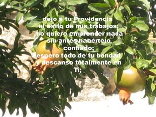 dejo a tu Providencia  el éxito de mis trabajos; no quiero emprender nada  sin antes habértelo confiado; espero todo de tu bondad  y descanso totalmente en Ti;  