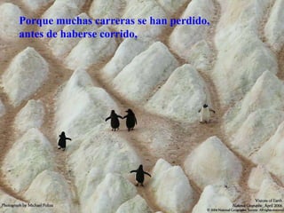 Porque muchas carreras se han perdido, antes de haberse corrido,