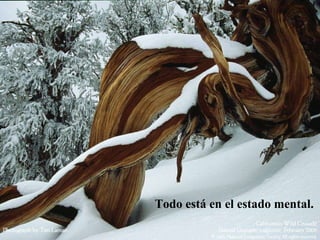 Todo está en el estado mental.