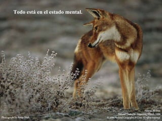 Todo está en el estado mental.