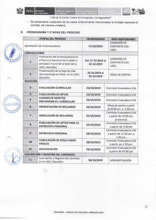 Fe Erratas CAS n 004 2019