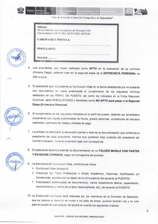 Fe Erratas CAS n 004 2019