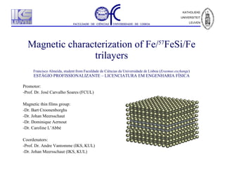 Magnetic characterization of Fe / 57 FeSi / Fe trilayers Francisco Almeida, student from Faculdade de Ci ê ncias da Universidade de Lisboa ( Erasmus exchange ) EST Á GIO PROFISSIONALIZANTE – LICENCIATURA EM ENGENHARIA F Í SICA ,[object Object],[object Object],[object Object],[object Object],[object Object],[object Object],[object Object],[object Object],[object Object],[object Object]