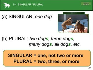 41
(a) SINGULAR: one dog
1-4 SINGULAR / PLURAL
(b) PLURAL: two dogs, three dogs,
many dogs, all dogs, etc.
SINGULAR = one, not two or more
PLURAL = two, three, or more
 