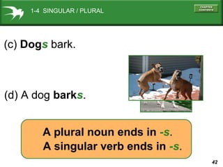 42
(c) Dogs bark.
(d) A dog barks.
A plural noun ends in -s.
A singular verb ends in -s.
1-4 SINGULAR / PLURAL
 
