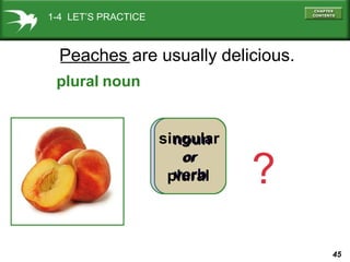 45
noun
or
verb
Peaches are usually delicious.
singular
or
plural
noun
?
plural
1-4 LET’S PRACTICE
 