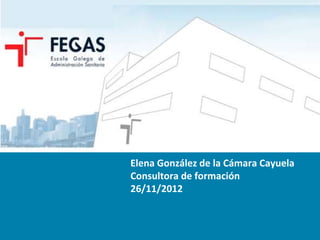 Elena González de la Cámara Cayuela
Consultora de formación
26/11/2012
 