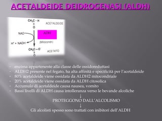 ACETALDEIDE DDEEIIDDRROOGGEENNAASSII ((AALLDDHH)) 
ADH 
- enzima appartenente alla classe delle ossidoreduttasi 
- ALDH2 presente nel fegato, ha alta affinità e specificità per l’acetaldeide 
- 80% acetaldeide viene ossidata da ALDH2 mitocondriale 
- 20% acetaldeide viene ossidata da ALDH citosolica 
- Accumulo di acetaldeide causa nausea, vomito 
- Bassi livelli di ALDH causa intolleranza verso le bevande alcoliche 
↓ 
PROTEGGONO DALL’ALCOLISMO 
↓ 
Gli alcolisti spesso sono trattati con inibitori dell’ALDH 
 