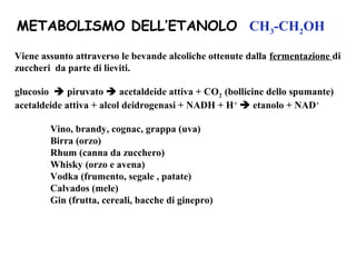 METABOLISMO DELL’ETANOLO CH3-CH2OH 
Viene assunto attraverso le bevande alcoliche ottenute dalla fermentazione di 
zuccheri da parte di lieviti. 
glucosio  piruvato  acetaldeide attiva + CO2 (bollicine dello spumante) 
acetaldeide attiva + alcol deidrogenasi + NADH + H+ etanolo + NAD+ 
Vino, brandy, cognac, grappa (uva) 
Birra (orzo) 
Rhum (canna da zucchero) 
Whisky (orzo e avena) 
Vodka (frumento, segale , patate) 
Calvados (mele) 
Gin (frutta, cereali, bacche di ginepro) 
 