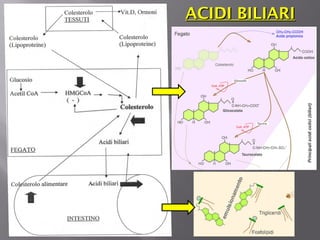 AACCIIDDII BBIILLIIAARRII 
 