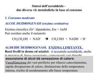 Sintesi dell’acetaldeide - 
due diverse vie metaboliche in base al consumo 
1. Consumo moderato 
ALCOL DEIDROGENASI (enzima costitutivo) 
Enzima citosolico Zn2+ dipendente; Km = 1mM 
Può ossidare anche il metanolo 
CH3CH2OH + NAD+  CH3CHO + NADH + H+ 
ALDEIDE DEIDROGENASI. ENZIMA LIMITANTE. 
Bassi livelli in donne ed asiatici: si accumula acetaldeide, anche 
in presenza di bassa assunzione - conseguenti vari disturbi 
(nausea, mal di testa, va assunzione di alcol mdàpa stee,n asuamzeionntoe b datit ictoa lcoarrdei:a co.) 
Vasodilatazione dei vasi periferici per rilascio catecolammine, 
rapida dissipazione di calore, diminuzione della temperatura 
interna, rischio di assideramento alle basse temperature 
 