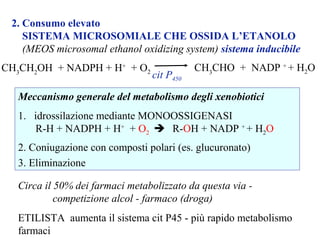 2. Consumo elevato 
SISTEMA MICROSOMIALE CHE OSSIDA L’ETANOLO 
(MEOS microsomal ethanol oxidizing system) sistema inducibile 
CH3CH2OH + NADPH + H+ + O2 CH3CHO + NADP + + H2O 
cit P450 
Meccanismo generale del metabolismo degli xenobiotici 
1. idrossilazione mediante MONOOSSIGENASI 
R-H + NADPH + H+ + O2  R-OH + NADP + + H2O 
2. Coniugazione con composti polari (es. glucuronato) 
3. Eliminazione 
Circa il 50% dei farmaci metabolizzato da questa via - 
competizione alcol - farmaco (droga) 
ETILISTA aumenta il sistema cit P45 - più rapido metabolismo 
farmaci 
 