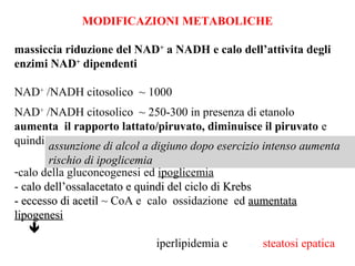 MODIFICAZIONI METABOLICHE 
massiccia riduzione del NAD+ a NADH e calo dell’attivita degli 
enzimi NAD+ dipendenti 
NAD+ /NADH citosolico ~ 1000 
NAD+ /NADH citosolico ~ 250-300 in presenza di etanolo 
aumenta il rapporto lattato/piruvato, diminuisce il piruvato e 
quindi 
assunzione di alcol a digiuno dopo esercizio intenso aumenta 
rischio di ipoglicemia 
-calo della gluconeogenesi ed ipoglicemia 
- de calo dell’’ossalacetato e quindi del ciclo di Krebs 
- eccesso di acetil ~ CoA e calo ossidazione ed aumentata 
lipogenesi 
 
iperlipidemia e steatosi epatica 
 