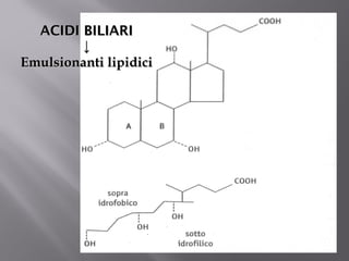 AACCIIDDII BBIILLIIAARRII 
↓↓ 
EEmmuullssiioonnaannttii lliippiiddiiccii 
 