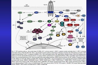 Infliximab Hepatitis case report 06-05-2009