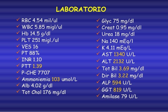 Murmure Vescicolare Presente Su Tutto L Ambito Polmonare