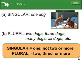 1-4 FINAL -S

(a) SINGULAR: one dog

(b) PLURAL: two dogs, three dogs,
many dogs, all dogs, etc.
SINGULAR = one, not two or more
PLURAL = two, three, or more
41

 