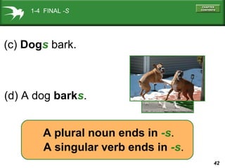 1-4 FINAL -S

(c) Dogs bark.

(d) A dog barks.
A plural noun ends in -s.
A singular verb ends in -s.
42

 