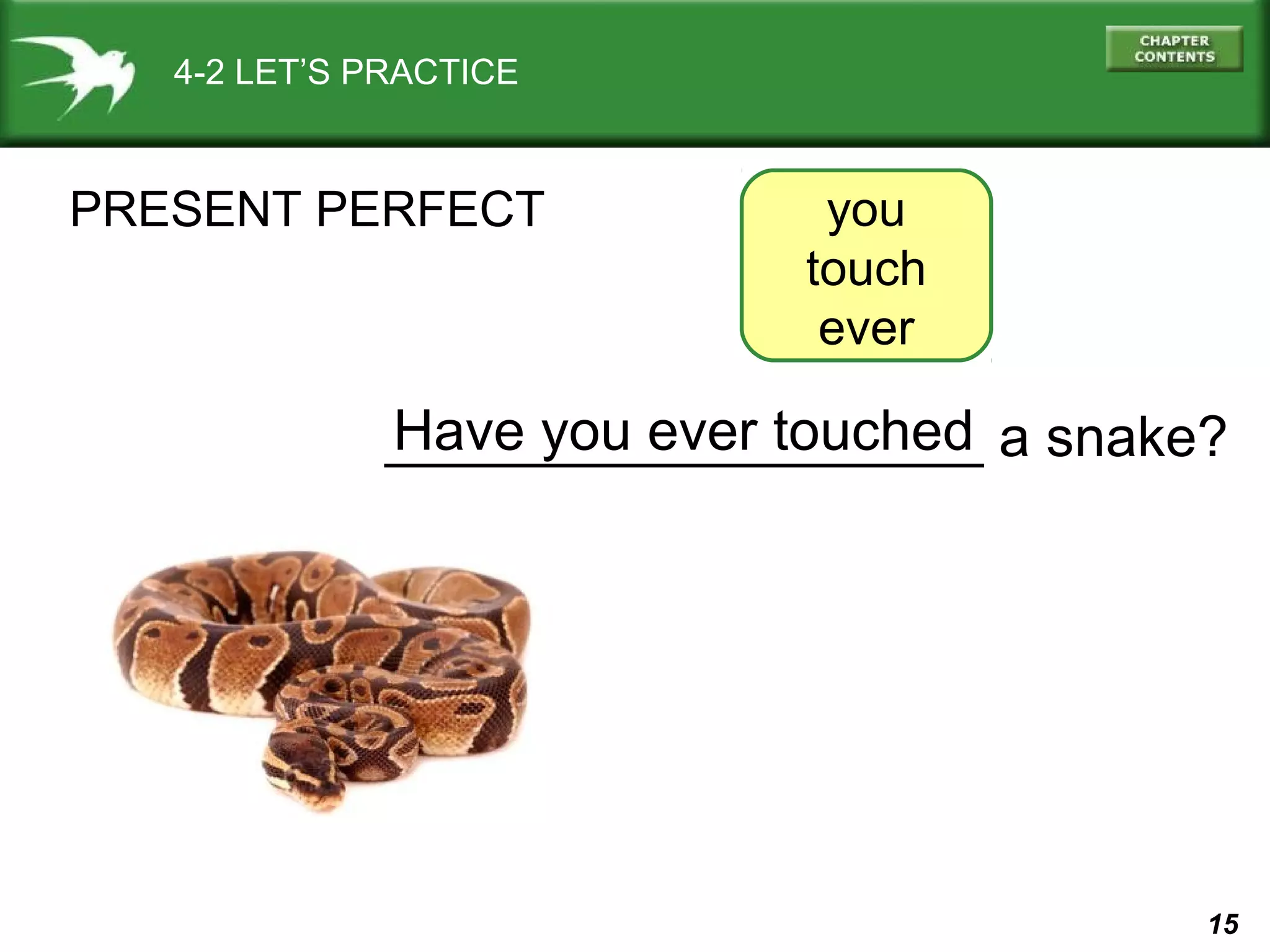 you 
touch 
ever 
___________________ a snake? 
15 
4-2 LET’S PRACTICE 
PRESENT PERFECT 
Have you ever touched 
 