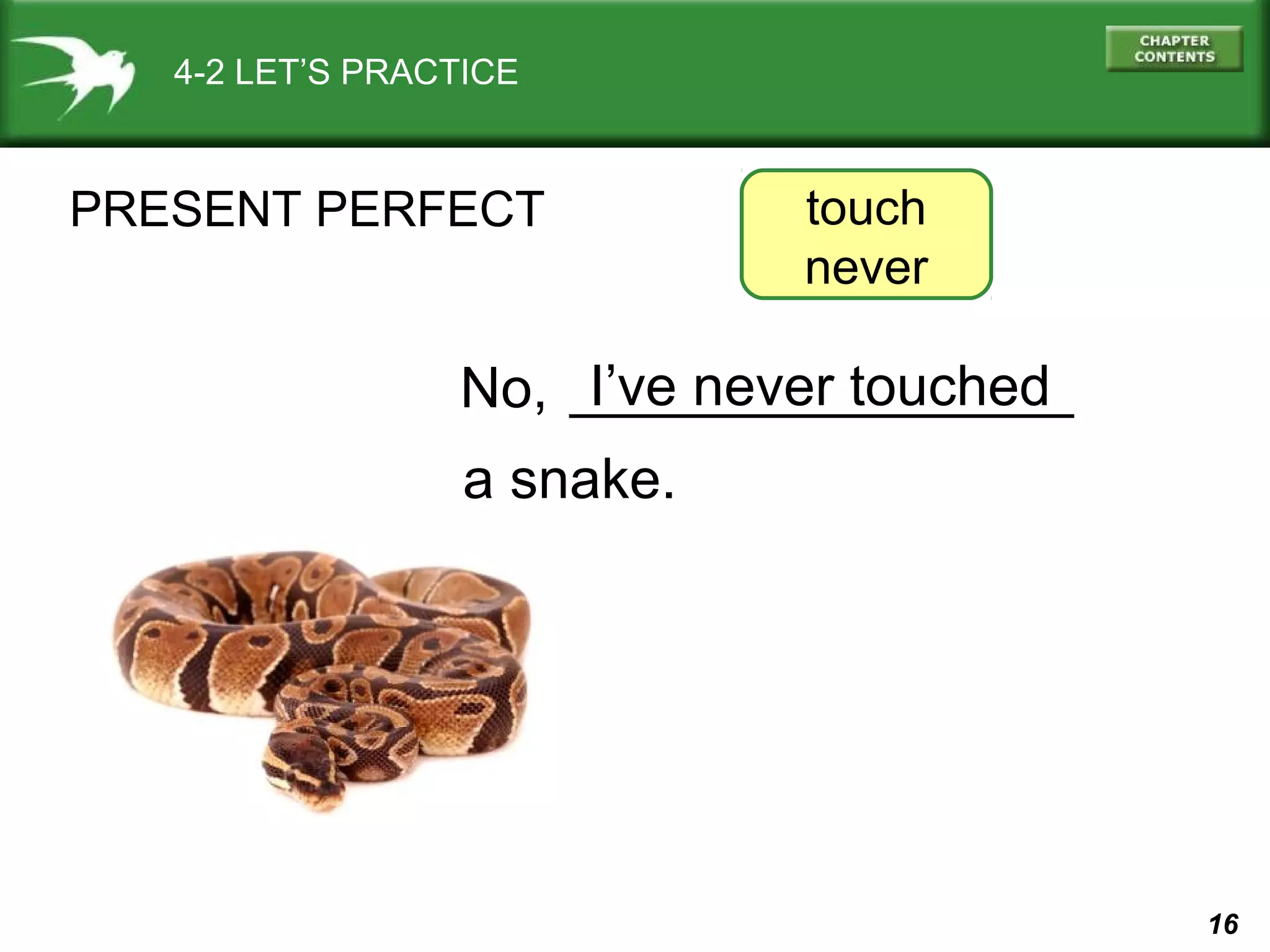 16 
touch 
never 
________________ 
4-2 LET’S PRACTICE 
PRESENT PERFECT 
I’ve never touched 
No, 
a snake. 
 