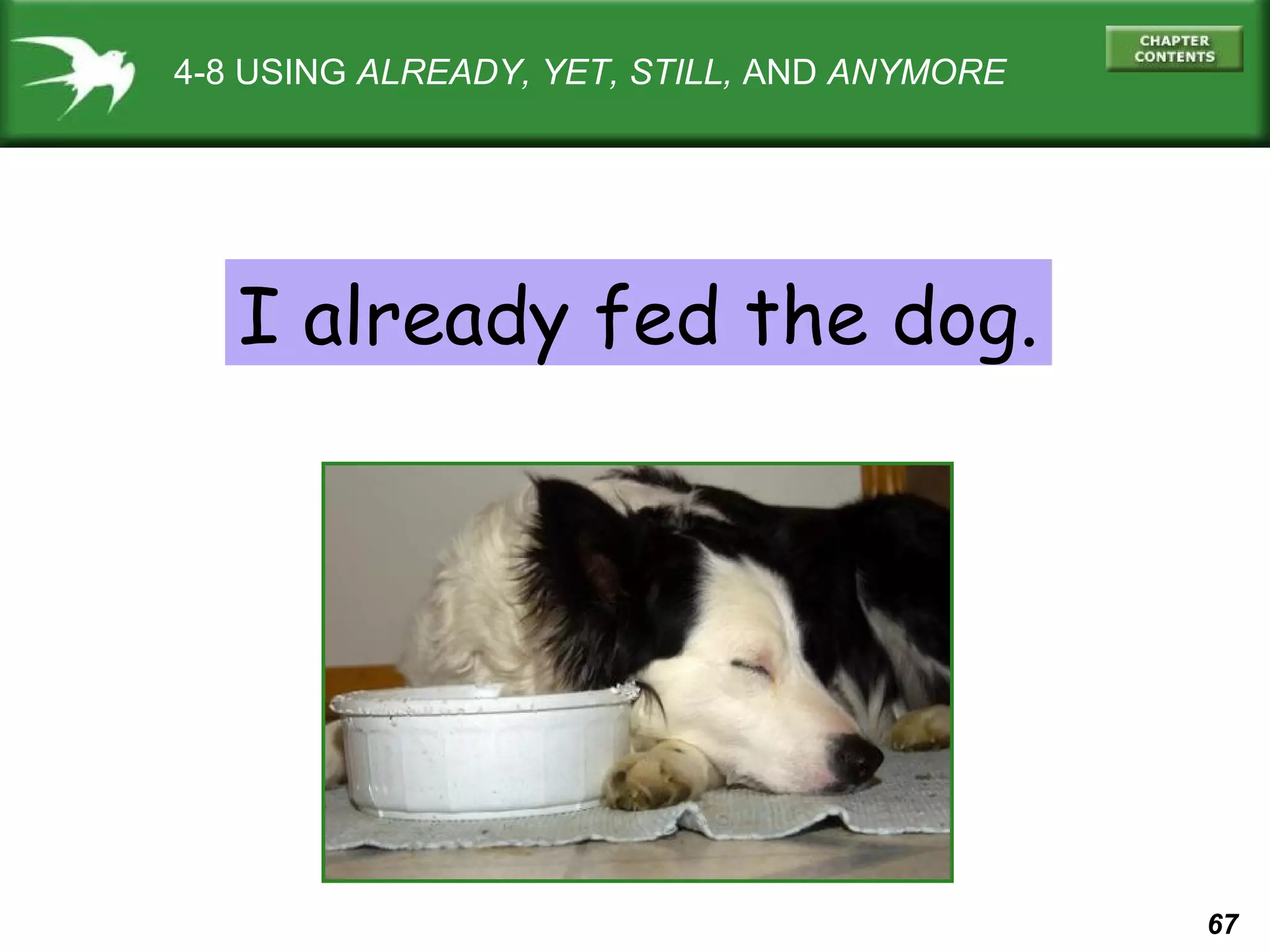 67 
4-8 USING ALREADY, YET, STILL, AND ANYMORE 
I already fed the dog. 
 