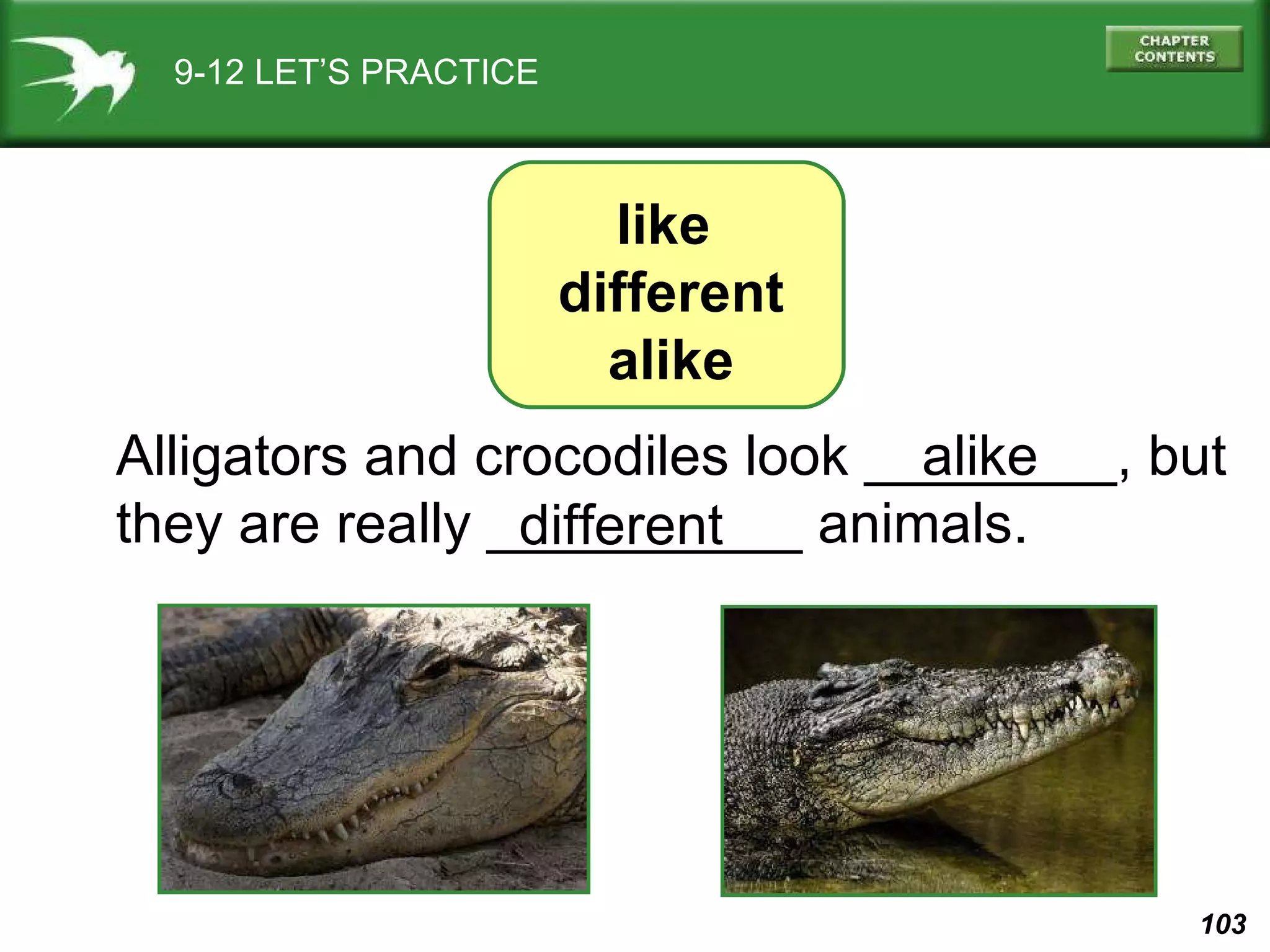9-12 LET’S PRACTICE Alligators and crocodiles look ________, but they are really __________ animals. alike different like  different alike 