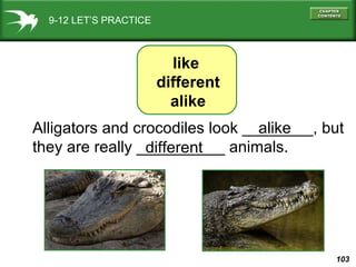9-12 LET’S PRACTICE Alligators and crocodiles look ________, but they are really __________ animals. alike different like  different alike 