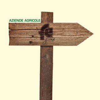 AZIENDE AGRICOLE
 