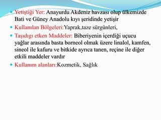 Yetiştiği Yer: Anayurdu Akdeniz havzası olup ülkemizde
Bati ve Güney Anadolu kıyı şeridinde yetişir
 Kullanılan Bölgeleri:Yaprak,taze sürgünleri,
 Taşıdıgı etken Maddeler: Biberiyenin içerdiği uçucu
yağlar arasında basta borneol olmak üzere linalol, kamfen,
sineol ile kafuru ve bitkide ayrıca tanen, reçine ile diğer
etkili maddeler vardır
 Kullanım alanları:Kozmetik, Sağlık
 