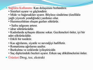 Sağlıkta Kullanımı: Kan dolaşımını hızlandırır.
• Sinirleri uyarır ve güçlendirir.
• Mide ve bağırsakları uyarır. Böylece sindirime (özellikle
yağlı yiyecek yendiğinde) yardımcı olur.
• Hazımsızlıktan oluşan gazları söktürür.
• Safra salgısını artırır.
• idrar söktürücüdür.
• Kadınlarda aybaşını düzene sokar. Gecikmeleri önler, iyi bir
adet söktürücüdür.
• Etkili bir toniktir.
• Kas ağrılarını, siyatik ve nevraljiyi hafifletir.
• Romatizma ağrılarını azaltır.
• Burkulma ve eziklerde iyileştiricidir.
• Saç diplerindeki bezleri uyarır. Erken saç dökülmelerini önler.
 Ürünleri:Drog, toz, ekstrakt
 