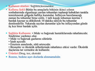  Kullanım alanları: Sağlıkta,kozmetikte
 Kullanış Şekli:Bütün bu amaçlarla bitkinin ikinci yılının
sonbaharında olgunlaşıp yarılan tohumları toplanıp kabukları tarakla
temizlenerek gölgede hafifçe kurutulur. İnfüzyon hazırlanacağı
zaman bu tohumlar biraz ezilir, 1 tatlı kaşığı tohumun üzerine 1
bardak kaynar su dökülerek 10 dakika süreyle bu tohumlar
demlendirilir. Yukarıda sayılan durumlar için bu infüzyondan günde
üç kez birer bardak içilir.
 Sağlıkta Kullanımı: • Mide ve bağırsak hastalıklarında rahatlatıcıdır.
Sindirime yardımcı olur.
• Mide ve bağırsak gazlarını söktürür.
• İştah açıcıdır.
• Emziren annelerde, sütü artırıcıdır.
• Bronşitte ve öksürük nöbetlerinde rahatlatıcı etkisi vardır. Öksürük
ilaçlarına tat vermekte de kullanılır.
 Ürünleri:Drog, toz, ekstrakt
 Rezene, bedene aşırı dozlarda alınmamalıdır.
 