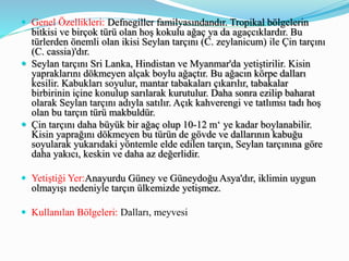  Genel Özellikleri: Defnegiller familyasındandır. Tropikal bölgelerin
bitkisi ve birçok türü olan hoş kokulu ağaç ya da agaçcıklardır. Bu
türlerden önemli olan ikisi Seylan tarçını (C. zeylanicum) ile Çin tarçını
(C. cassia)'dır.
 Seylan tarçını Sri Lanka, Hindistan ve Myanmar'da yetiştirilir. Kisin
yapraklarını dökmeyen alçak boylu ağaçtır. Bu ağacın körpe dalları
kesilir. Kabukları soyulur, mantar tabakaları çıkarılır, tabakalar
birbirinin içine konulup sarılarak kurutulur. Daha sonra ezilip baharat
olarak Seylan tarçını adıyla satılır. Açık kahverengi ve tatlımsı tadı hoş
olan bu tarçın türü makbuldür.
 Çin tarçını daha büyük bir ağaç olup 10-12 m‘ ye kadar boylanabilir.
Kisin yaprağını dökmeyen bu türün de gövde ve dallarının kabuğu
soyularak yukarıdaki yöntemle elde edilen tarçın, Seylan tarçınına göre
daha yakıcı, keskin ve daha az değerlidir.
 Yetiştiği Yer:Anayurdu Güney ve Güneydoğu Asya'dır, iklimin uygun
olmayışı nedeniyle tarçın ülkemizde yetişmez.
 Kullanılan Bölgeleri: Dalları, meyvesi
 