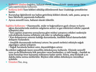  Kullanım alanları:Sağlıkta, baharat olarak, ayrıca ekmek –pasta-şarap-likör-
tatlı yapımındada kullanılır.
 Kullanış Şekli:Taze kökleri sökülüp dilimlenerek bazı Uzakdoğu yemeklerine
katılır.
 Kurutulup öğütülerek toz haline getirilmiş kökleri ekmek, tatlı, pasta, şarap ve
bazı likörlerin yapımında kullanılır.
 Ayrıca zencefil tozu, baharat olarak tüketilir.
Sağlıkta Kullanımı: • Hazımsızlık, mide ve bağırsakların gazlı olması ve karin
ağrısı durumlarında sindirim salgılarını artırır ve gaz söktürücü etkiler yaparak
iyileştirici olur.
• Son yapılan araştırma sonuçlarına göre mideyi yatıştırıcı etkileri nedeniyle
yolculuklarda kusma refleksini yok eder ve rahatlama sağlar.
• Kan dolaşımının yetersiz kaldığı durumlarda, özellikle kılcal damarlardaki
dolaşımı hızlandırır.
• Ateşlilik durumunda terlemeyi artırır; bu yararlı terletici etkisiyle soğuk
algınlığını çabuk iyileştirir.
• Soğuk havalarda bedeni ısıtır, dayanıklılığını artırır.
Bu etkileri sağlamak üzere zencefilin dekoksiyonu kullanılır. Elinizde zencefil
tozu ya da dilimlenmiş kök parçaları varsa bunlardan 1,5 tatlı kasığı, 1 bardak su
içine konulup önce kaynama noktasına kadar ısıtılır. Sonra, ateş kısılarak 5-10
dakika daha ısıtma sürdürülür. Böylece elde edilen dekoksiyon istendikçe
içilebilir.
 Ürünleri:Toz, drog,
 