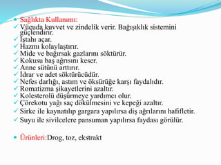  Sağlıkta Kullanımı:
 Vücuda kuvvet ve zindelik verir. Bağışıklık sistemini
güçlendirir.
 İştahı açar.
 Hazmı kolaylaştırır.
 Mide ve bağırsak gazlarını söktürür.
 Kokusu baş ağrısını keser.
 Anne sütünü arttırır.
 İdrar ve adet söktürücüdür.
 Nefes darlığı, astım ve öksürüğe karşı faydalıdır.
 Romatizma şikayetlerini azaltır.
 Kolesterolü düşürmeye yardımcı olur.
 Çörekotu yağı saç dökülmesini ve kepeği azaltır.
 Sirke ile kaynatılıp gargara yapılırsa diş ağrılarını hafifletir.
 Suyu ile sivilcelere pansuman yapılırsa faydası görülür.
 Ürünleri:Drog, toz, ekstrakt
 