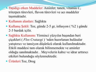  Taşıdıgı etken Maddeler: Aminler, tanen, vitamin C,
triterpen türevleri, flavon türevleri ve acı maddeler
taşımaktadır.
 Kullanım alanları: Sağlıkta
 Kullanış Şekli: Toz, günde 2-5 gr, infusyon ( %2 ) günde
2-3 bardak içilir.
 Sağlıkta Kullanımı: Yirminci yüzyılın başından beri
çiçekleri ( Flos Crataegi ) ‘nden hazırlanan hulâsalar
yatıştırıcı ve tansiyon düşürücü olarak kullanılmaktadır.
Etkili maddesi tam olarak bilinmemekte ve aminler
olduğu sanılmaktadır. . Meyvelerin kabız ve idrar arttırıcı
etkileri bulunduğu söylenmektedir.
 Ürünleri:Toz, Drog
 