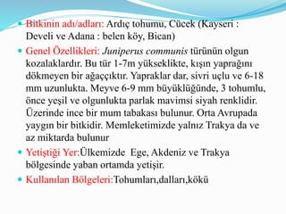  Bitkinin adı/adları: Ardıç tohumu, Cücek (Kayseri :
Develi ve Adana : belen köy, Bican)
 Genel Özellikleri: Juniperus communis türünün olgun
kozalaklardır. Bu tür 1-7m yükseklikte, kışın yaprağını
dökmeyen bir ağaççıktır. Yapraklar dar, sivri uçlu ve 6-18
mm uzunlukta. Meyve 6-9 mm büyüklüğünde, 3 tohumlu,
önce yeşil ve olgunlukta parlak mavimsi siyah renklidir.
Üzerinde ince bir mum tabakası bulunur. Orta Avrupada
yaygın bir bitkidir. Memleketimizde yalnız Trakya da ve
az miktarda bulunur
 Yetiştiği Yer:Ülkemizde Ege, Akdeniz ve Trakya
bölgesinde yaban ortamda yetişir.
 Kullanılan Bölgeleri:Tohumları,dalları,kökü
 