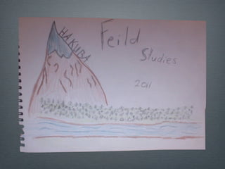 Feild studies