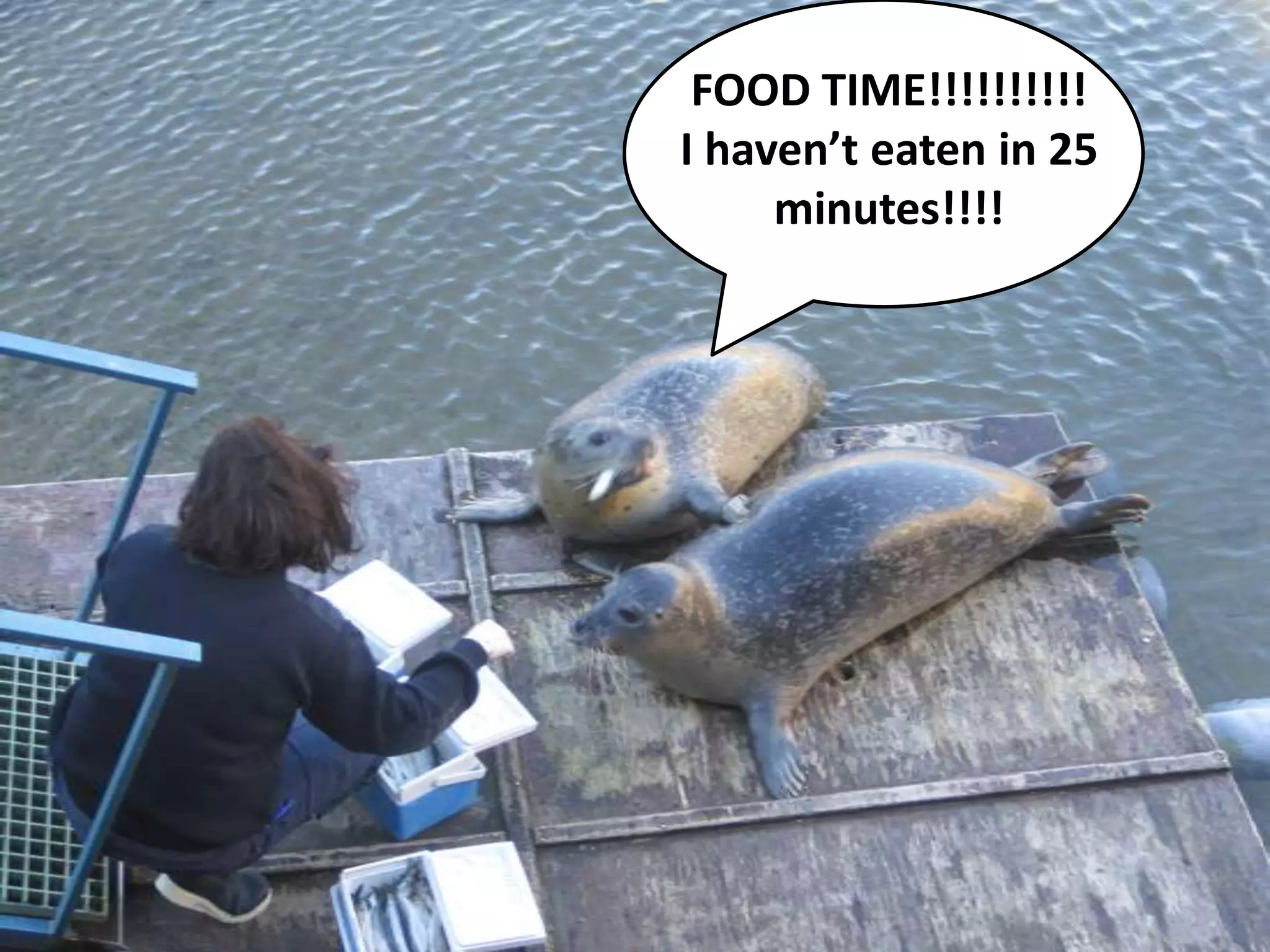 FOOD TIME!!!!!!!!!!I haven’t eaten in 25 minutes!!!!