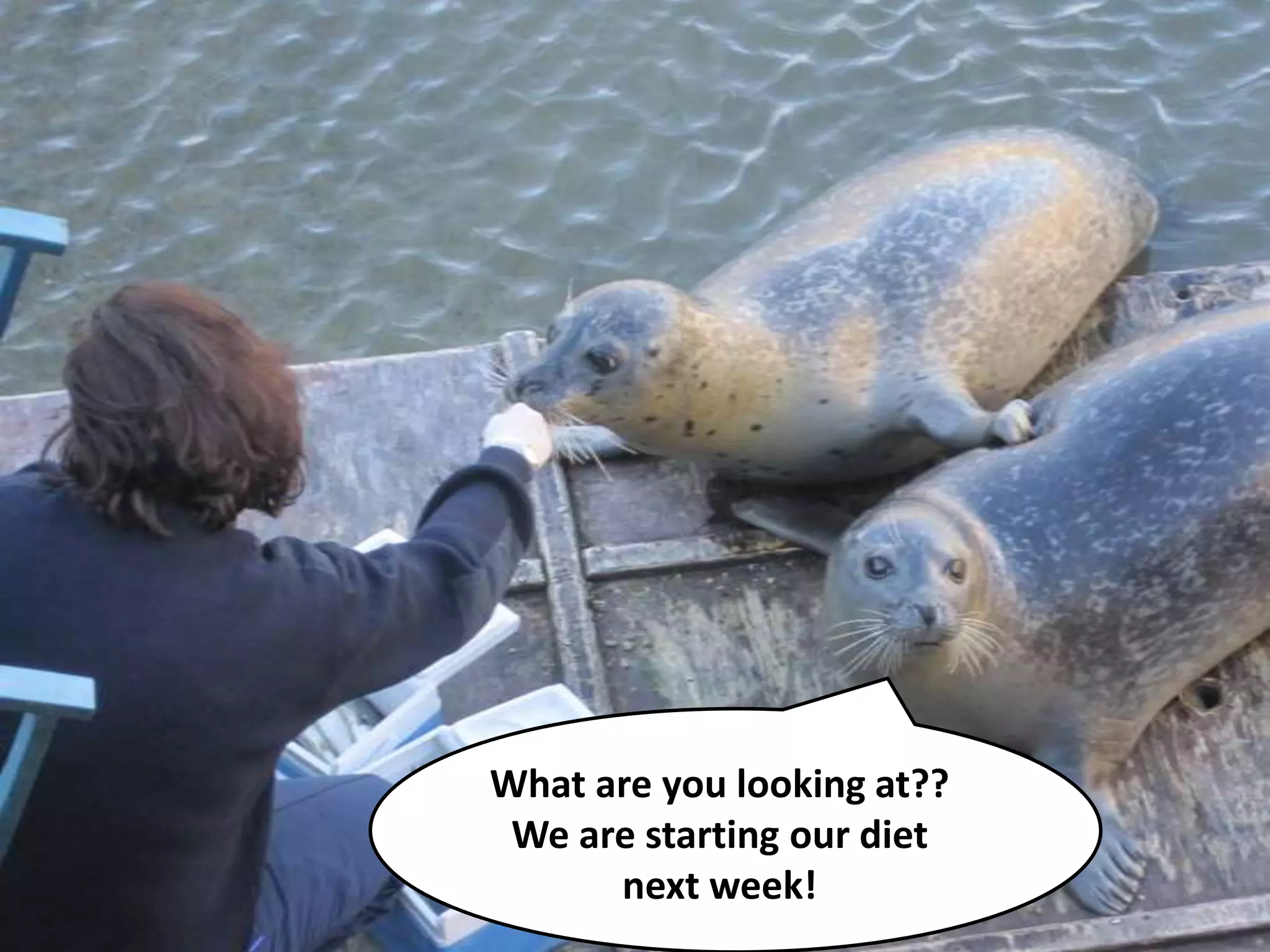 What are you looking at?? We are starting our diet next week!