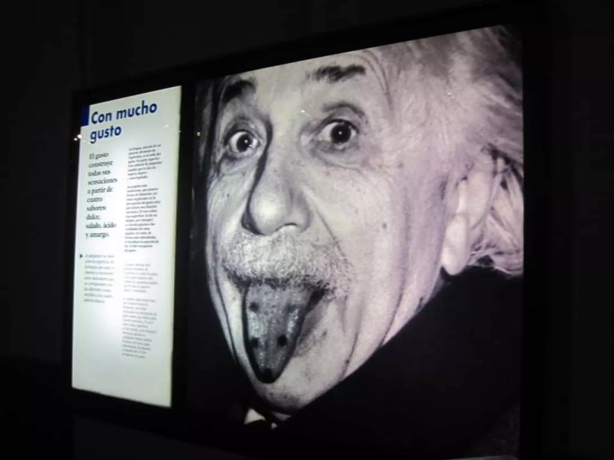 After the Aquarium we headed to the Science Museum...