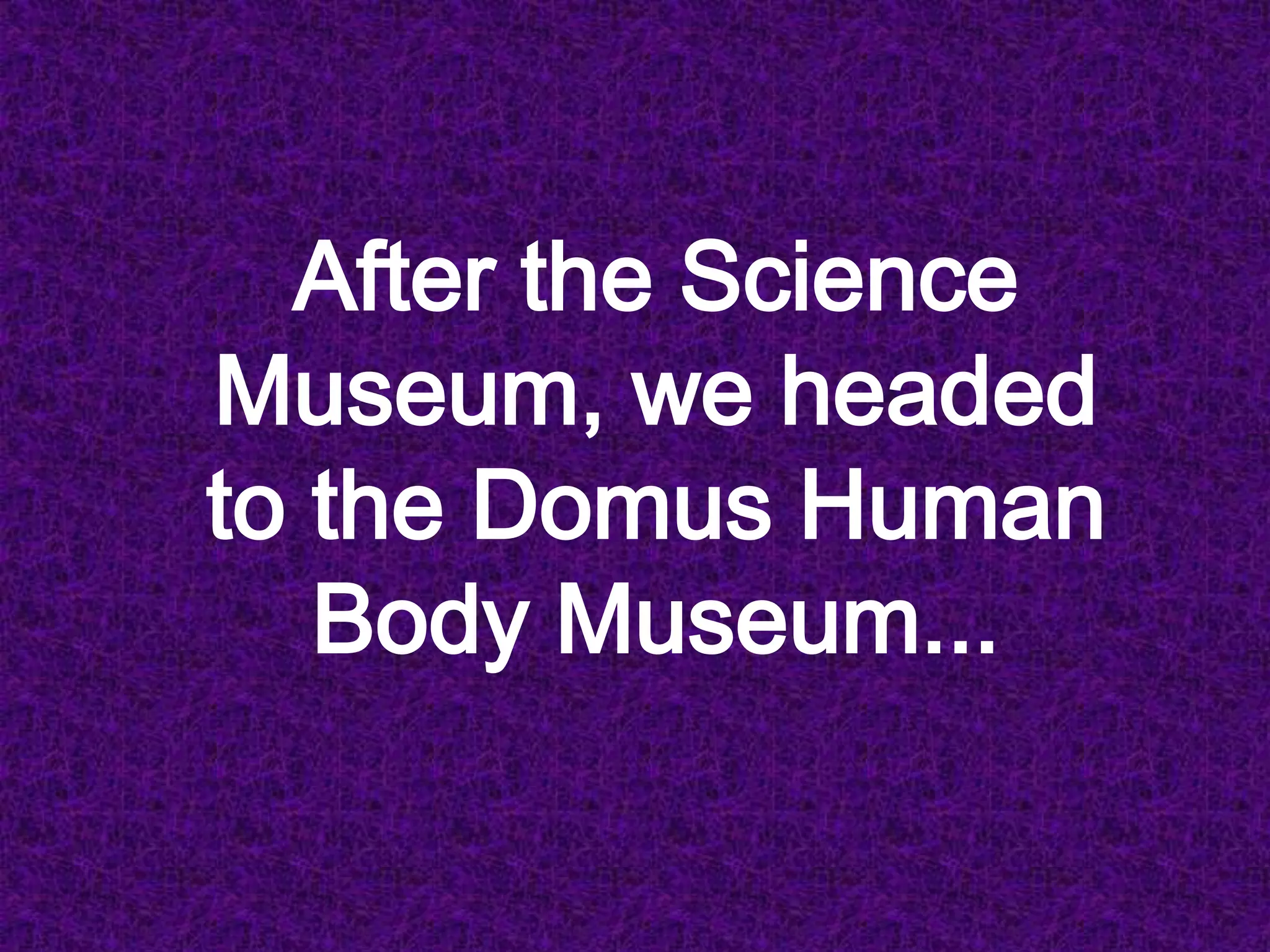 After the Science Museum, we headed to the Domus Human Body Museum...
