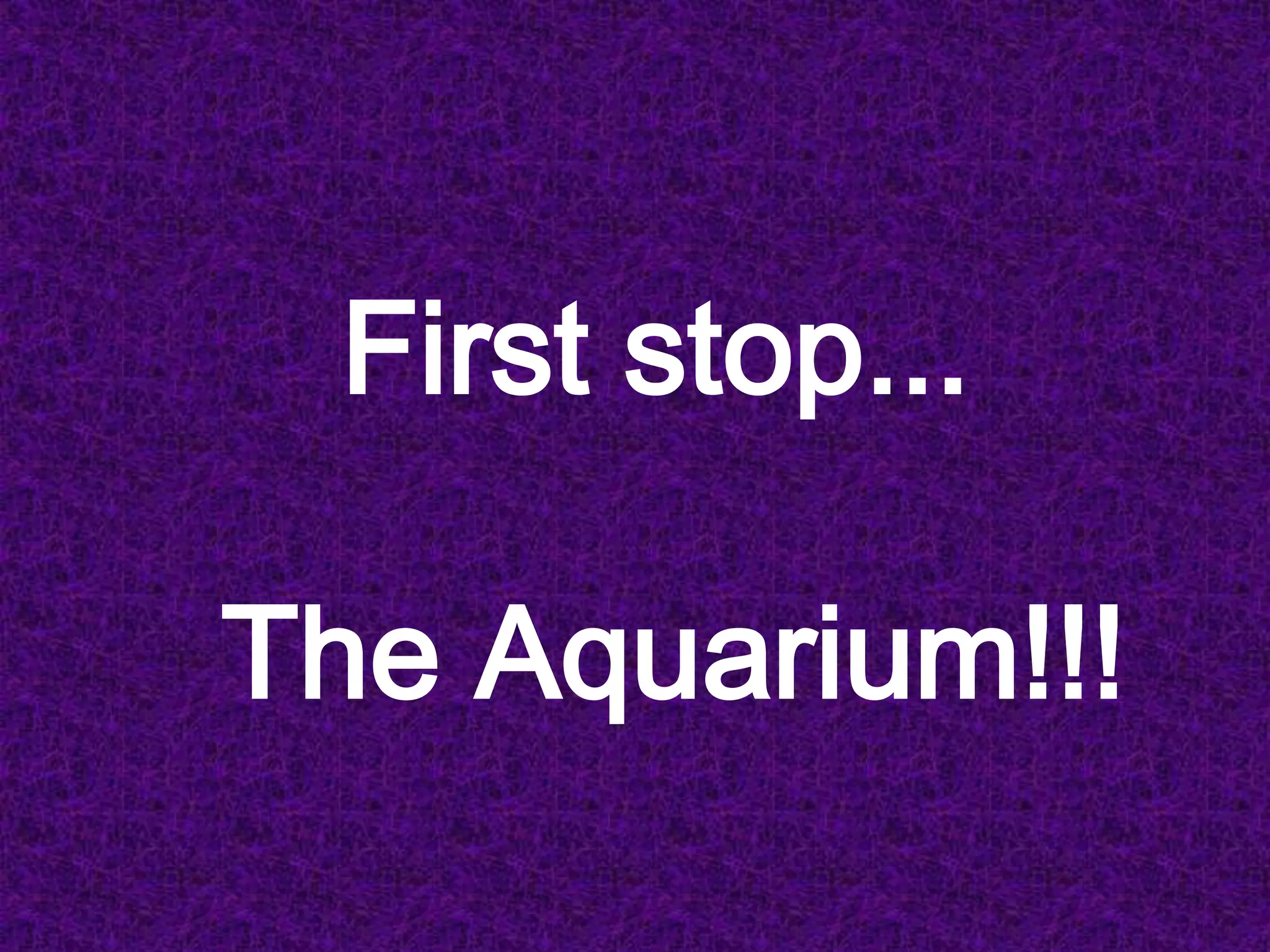 First stop... The Aquarium!!!