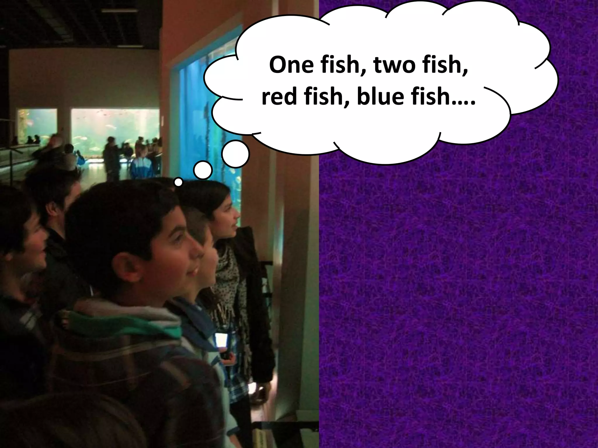 One fish, two fish, red fish, blue fish….