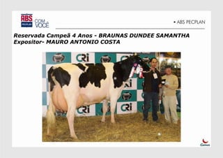 Reservada Campeã 4 Anos - BRAUNAS DUNDEE SAMANTHA
Expositor- MAURO ANTONIO COSTA
 