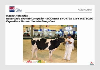 Macho Holandês
Reservado Grande Campeão - BOCAINA SHOTTLE VIVY METEORO
Expositor- Manuel Jacinto Gonçalves
 